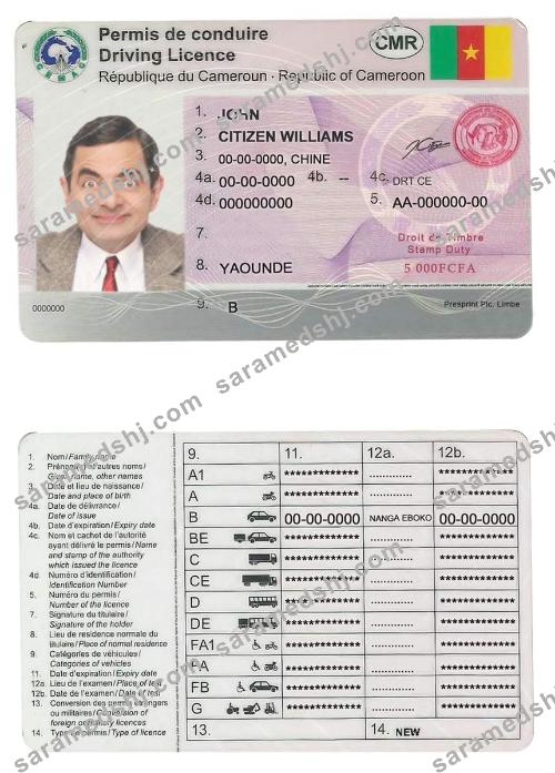 Cameroon driving license
